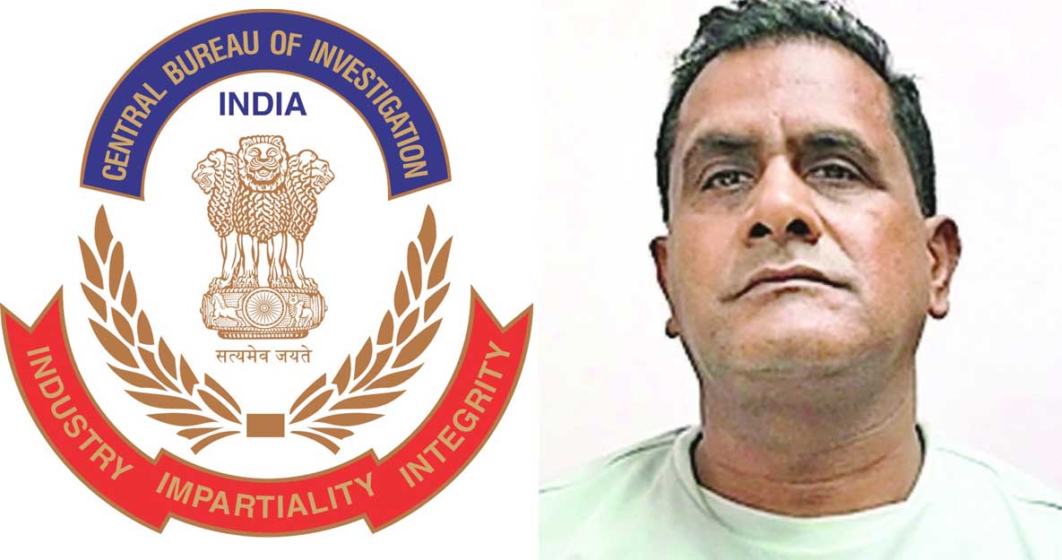 IMGDonec metus orci, malesuada et lectus vitae