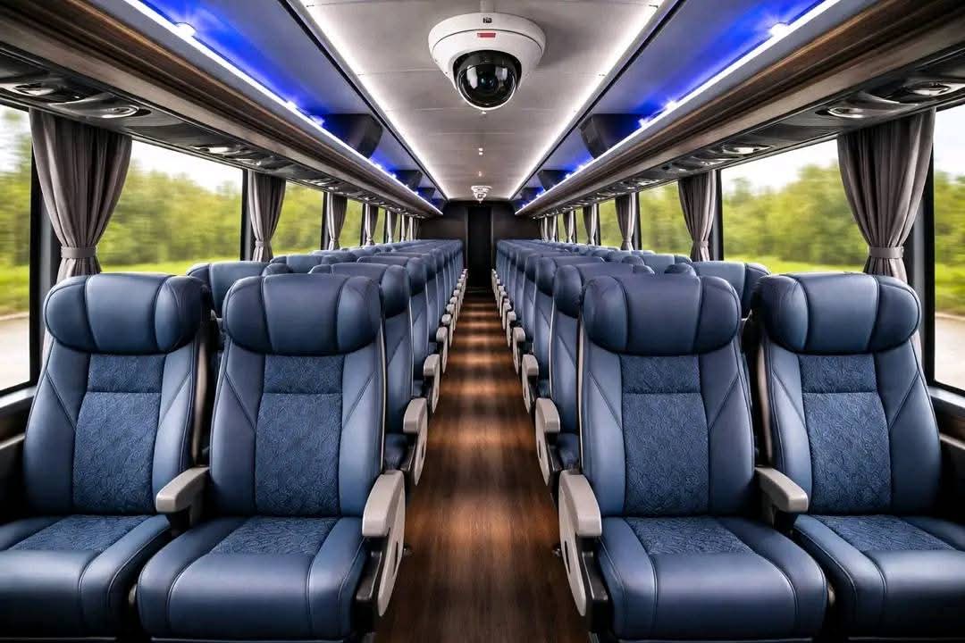 IMGDonec metus orci, malesuada et lectus vitae