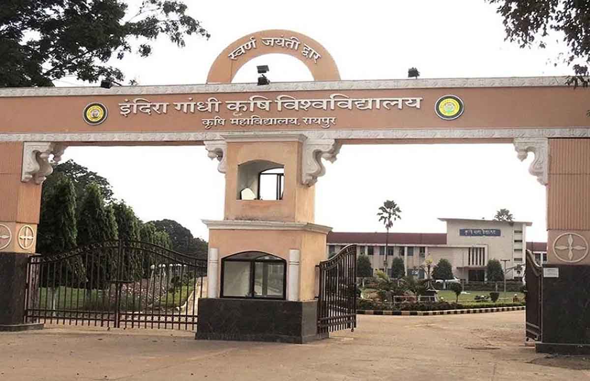 IMGDonec metus orci, malesuada et lectus vitae