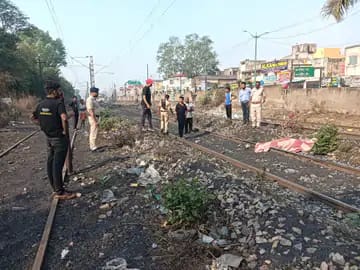 IMGDonec metus orci, malesuada et lectus vitae