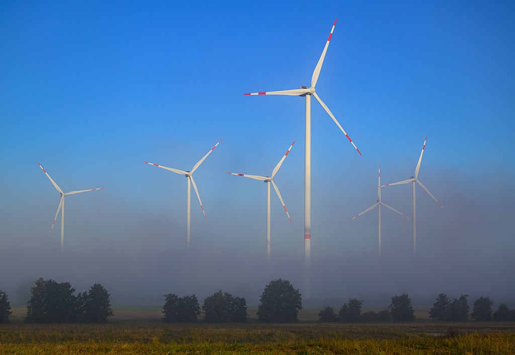 IMGDonec metus orci, malesuada et lectus vitae