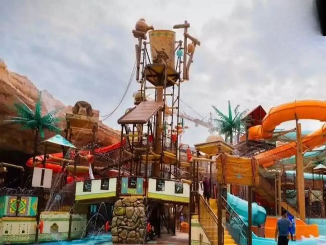 IMGDonec metus orci, malesuada et lectus vitae